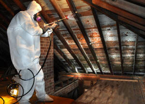 Attic Cleaning