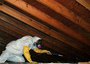 Attic Cleaning