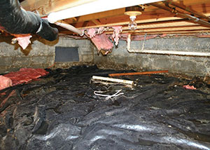 Attic Cleaning